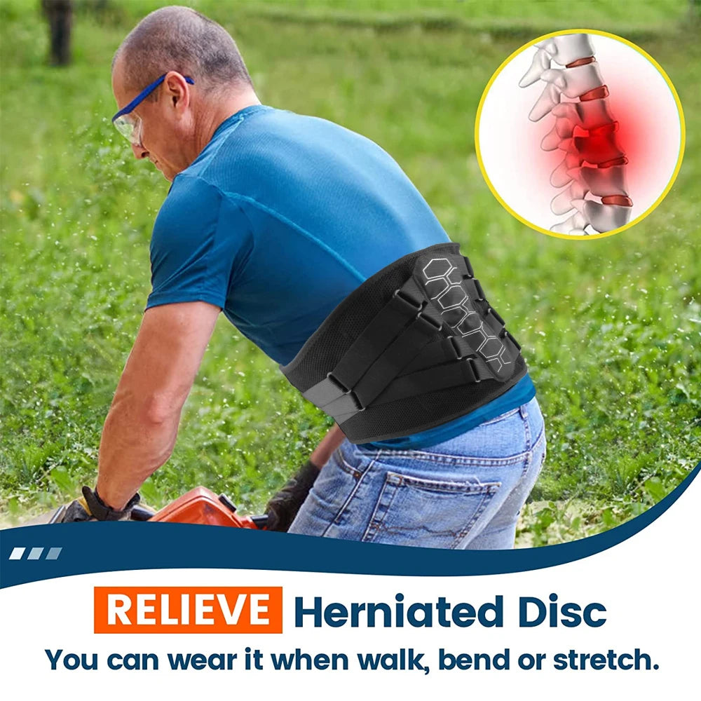 Back Brace for Lower Back Pain Relief - Lumbar Support Belt with Adjustable Pulley System,Bionic Spine Design -  for Men &Women