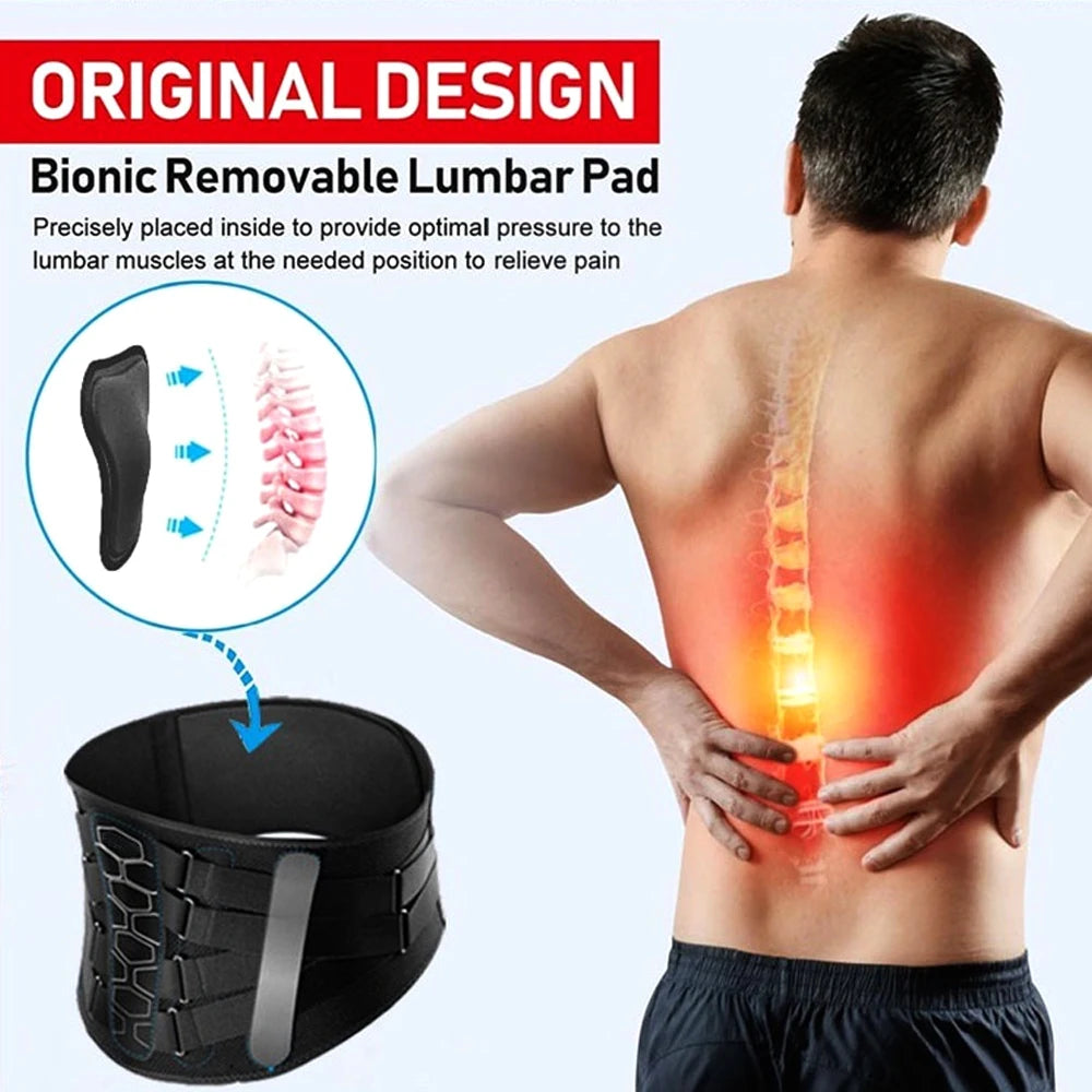 Back Brace for Lower Back Pain Relief - Lumbar Support Belt with Adjustable Pulley System,Bionic Spine Design -  for Men &Women